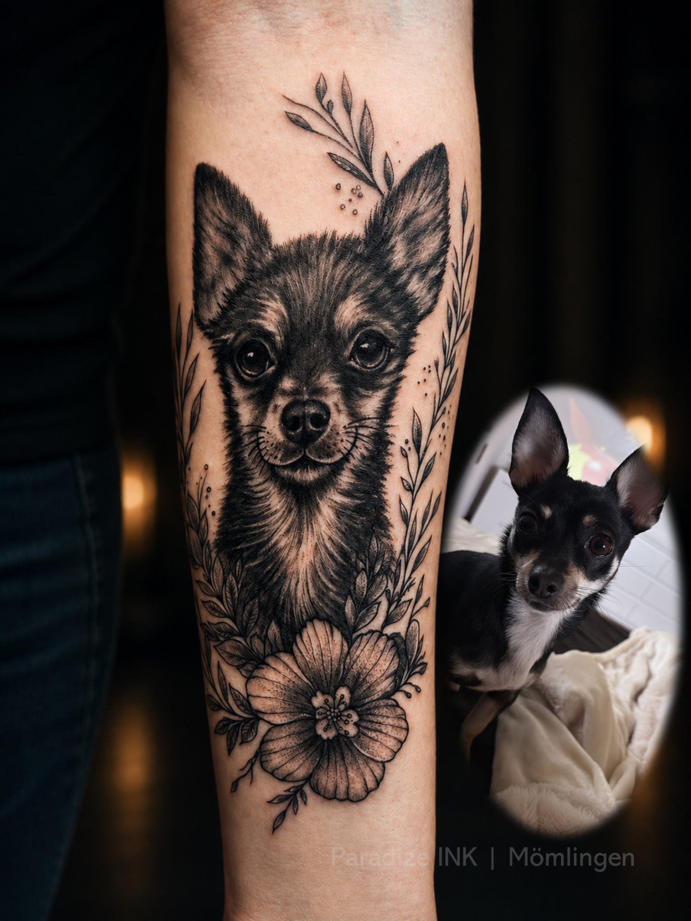 Hunde Porträt Tattoo Paradize INK Mömlingen Hunde Porträt Tattoo Paradize INK Mömlingen