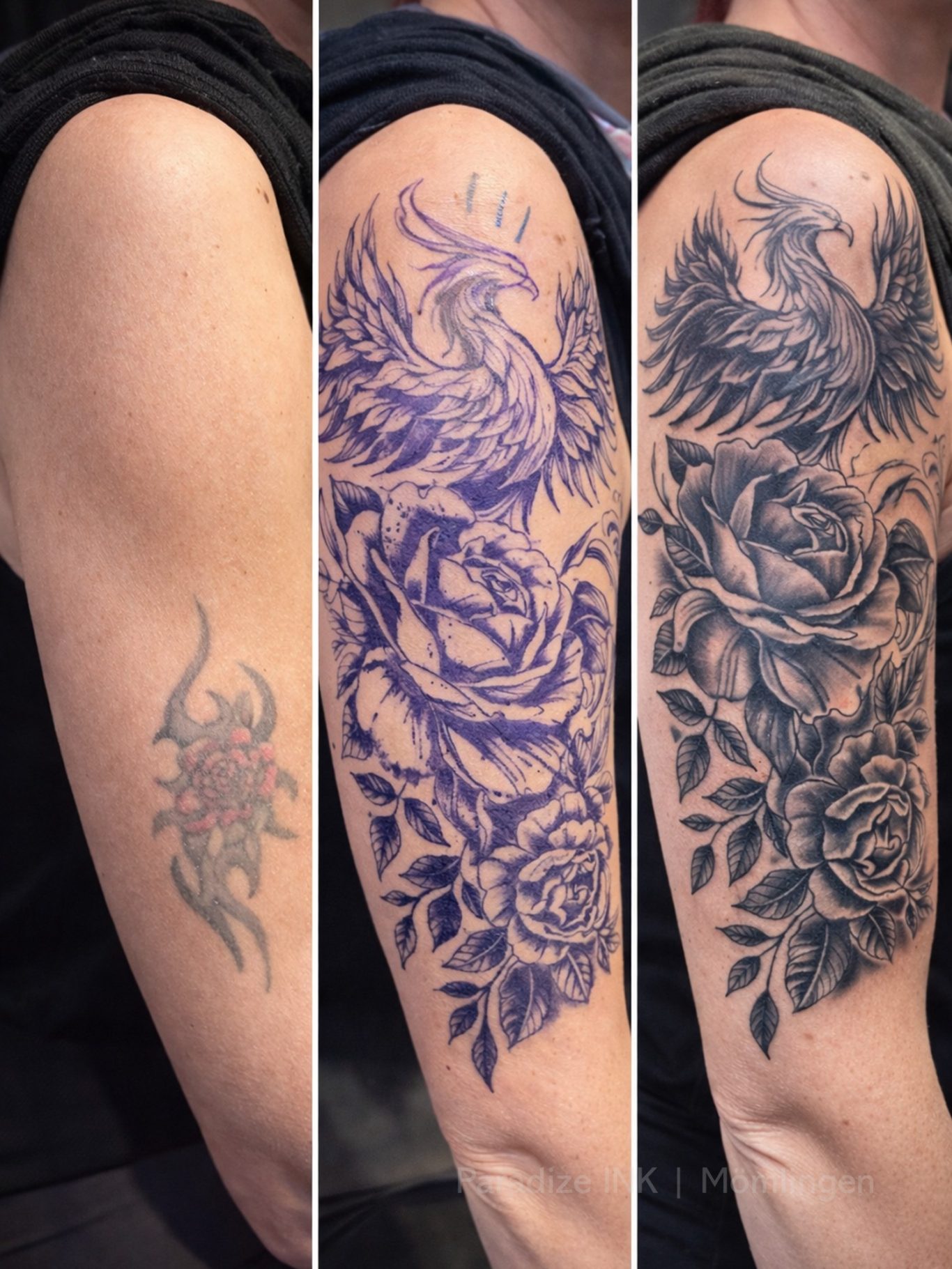 Paradize INK Tattoo Mömlingen Drei Tattoo-Phasen: Skizze, flammenumgebenem Phönix und detaillierten Rosen.