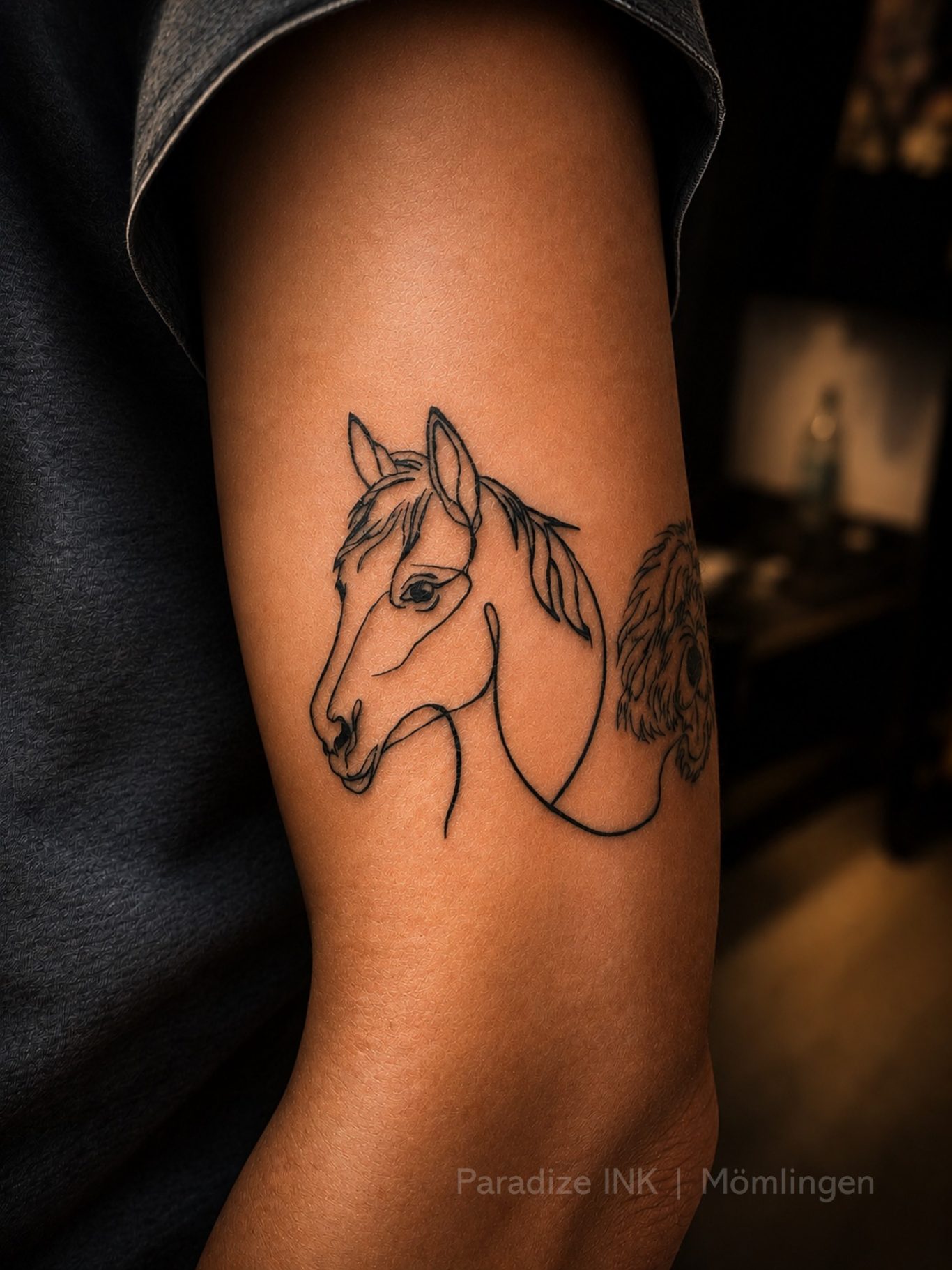 Feines One Liner Tattoo eines Pferdes Tattoo in Fineline Stil eines Pferdes von Paradize INK Mömlingen